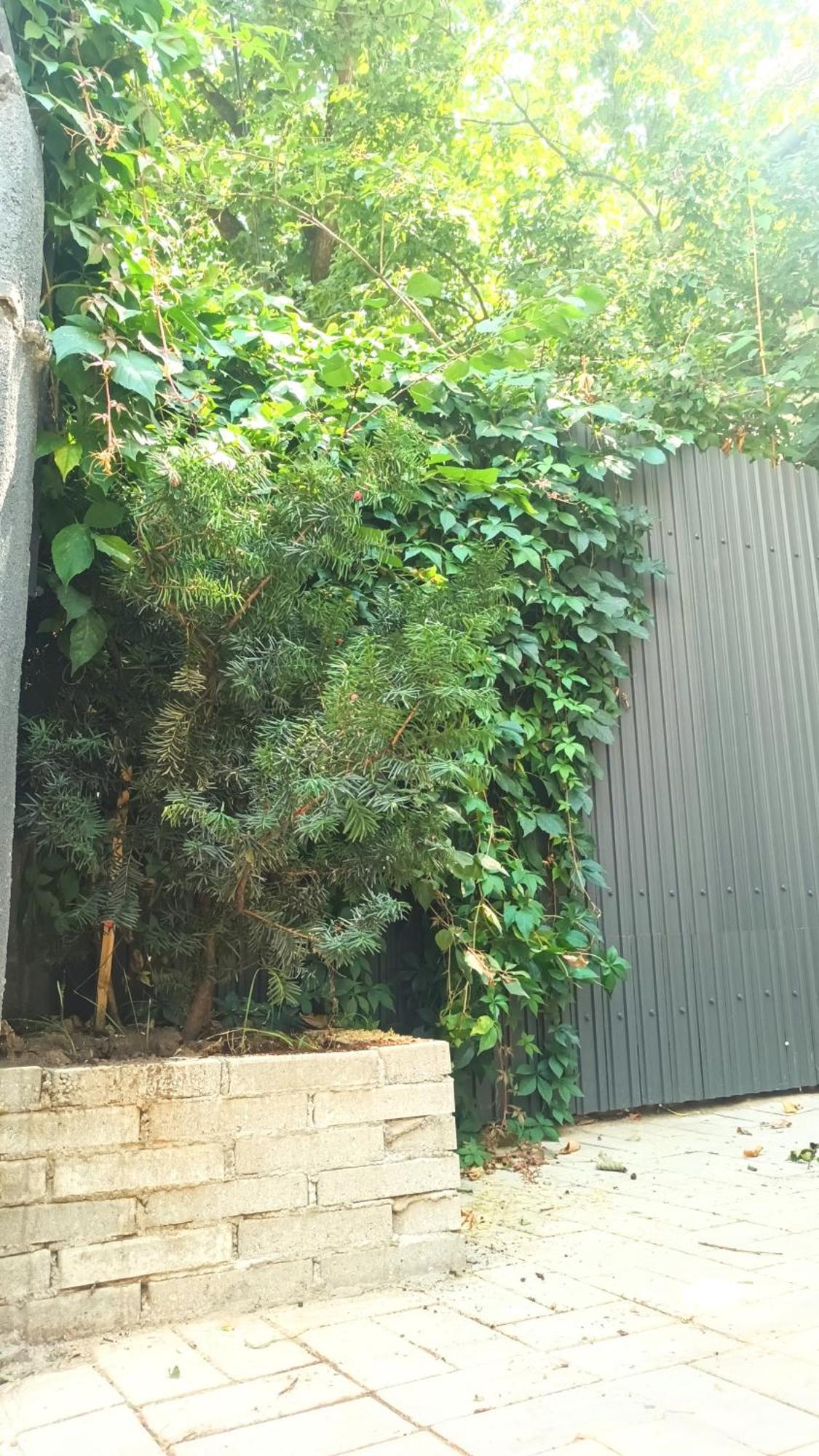 Littlehouse- Entire Property For Maximum 4 People Bucureşti Ngoại thất bức ảnh